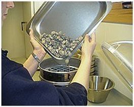 Siktesatser for tørrsikting